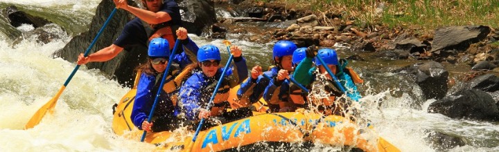 Holiday Gift Preview