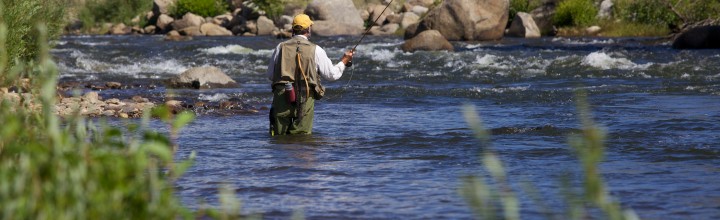 Fly Fishing on the Colorado River