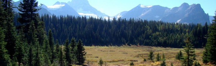 Day Hikes Near Denver