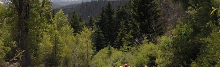 All Access Pass to Climbing Colorado 14ers