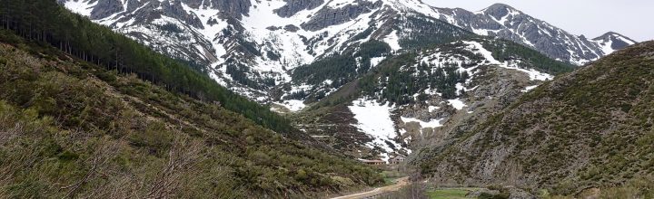 Best RV Parks in Colorado