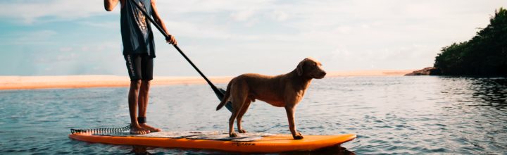 SUPing the Colorado River – What You Need to Know